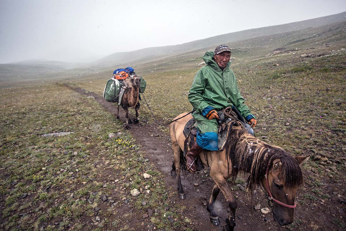 Altai Mountains (mules)